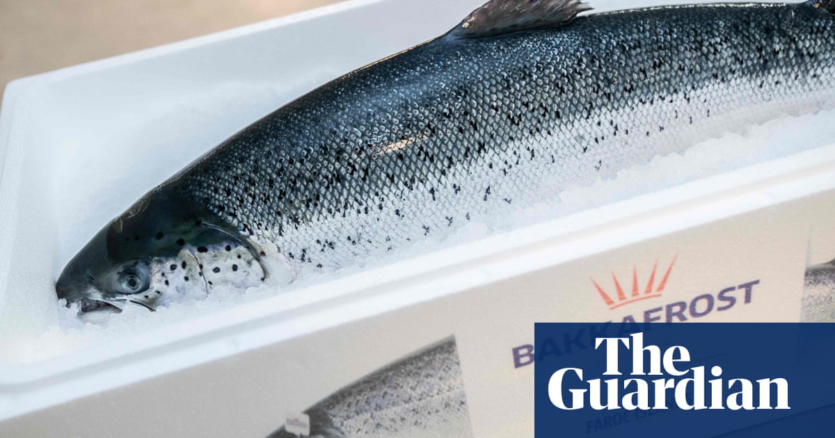 Salmon firm’s plan to fly fish in its own Boeing 757 alarms campaigners