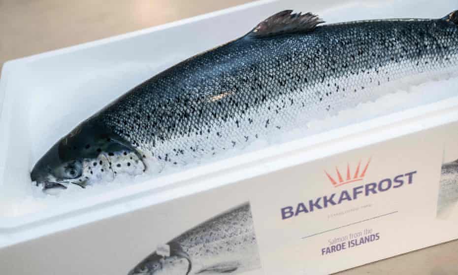 A salmon in Bakkafrost packaging