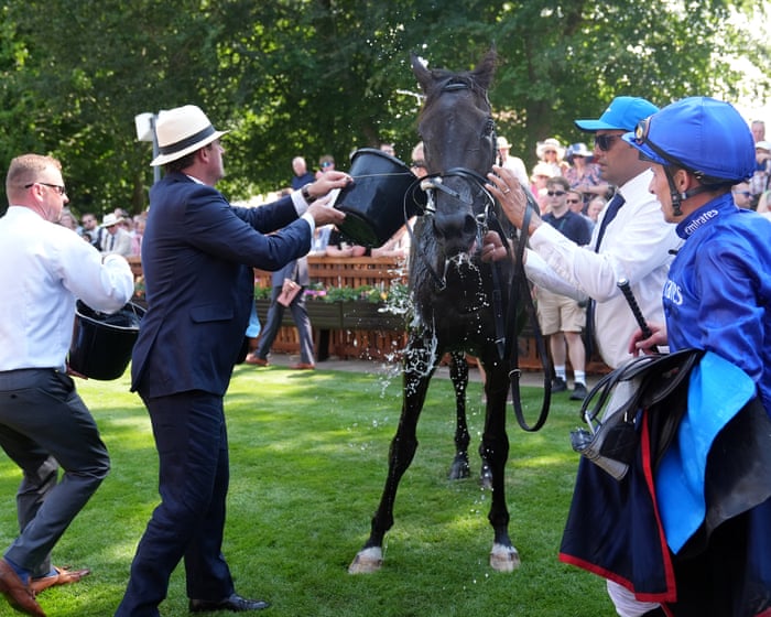 Racing warrior Rebel’s Romance continues world tour with Newmarket victory
