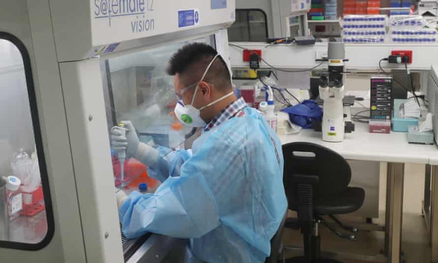 A scientist works at the Doherty Institute in Melbourne, Australia.