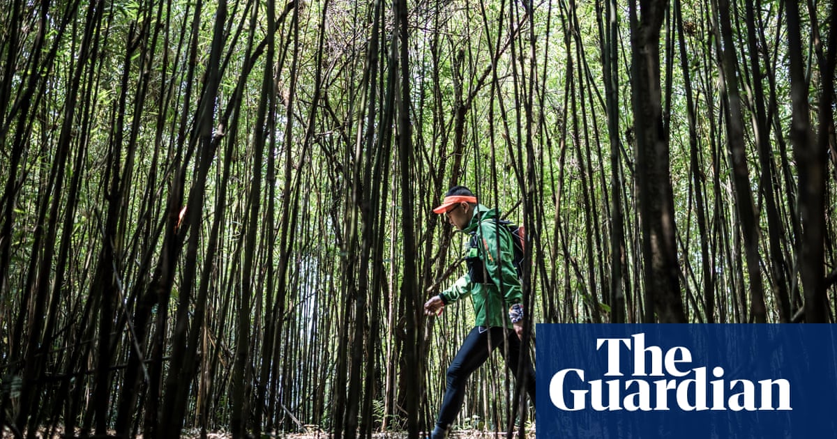 Chinese Burn How The People S Republic Has Become An Endurance