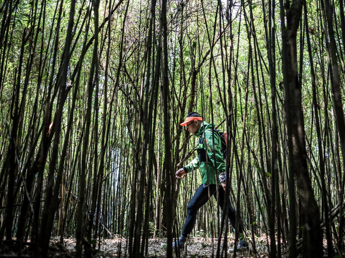 chinese burn how the people s republic has become an endurance running superpower running the guardian