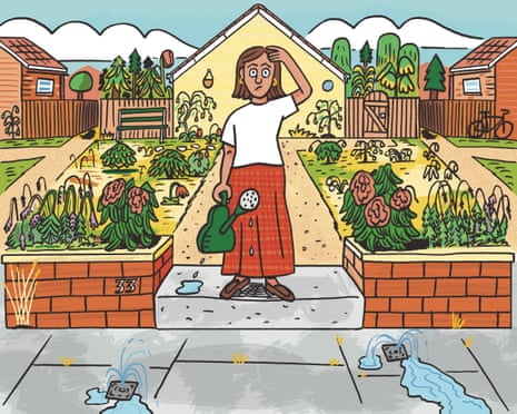 Illustration of a perplexed woman in her garden, surrounded by wilting plants and dead grass, while water pours out of the pavement drains