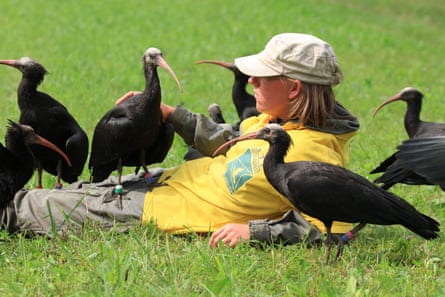 A woman in a yellow T-shirt and a khaki cap and trousers reclines on grass, surrounded by birds and resting her hand on one of them.