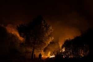 A night shot of a man standing under trees silhouetted by the light of a fire burning behind him