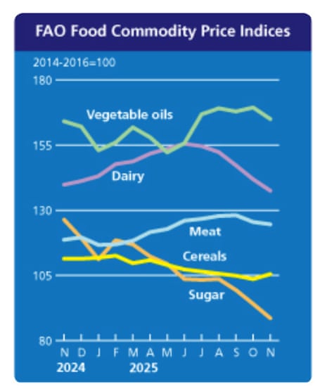 A chart showing world food prices