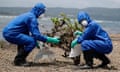 Two people in blue protective overalls and masks use absorbent pads to wipe oil from a small mangrove on a beach