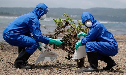 Duas pessoas com macacões e máscaras de proteção azuis usam absorventes para limpar o óleo de um pequeno mangue na praia