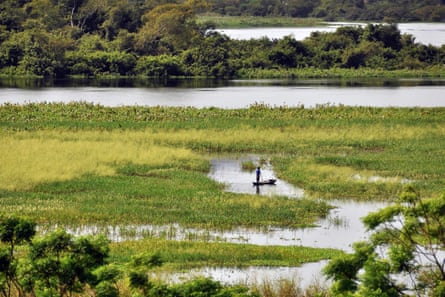 Marshy landscape in the Pantanal wetland, Corumba.