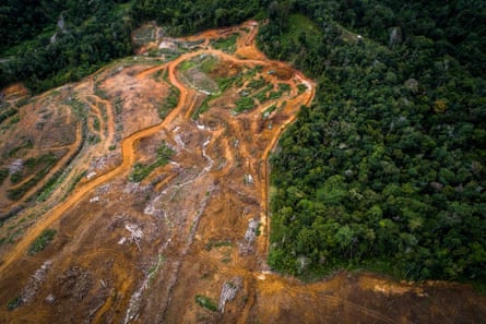 A large cleared area of red ground cuts into the edge of dense rainforest