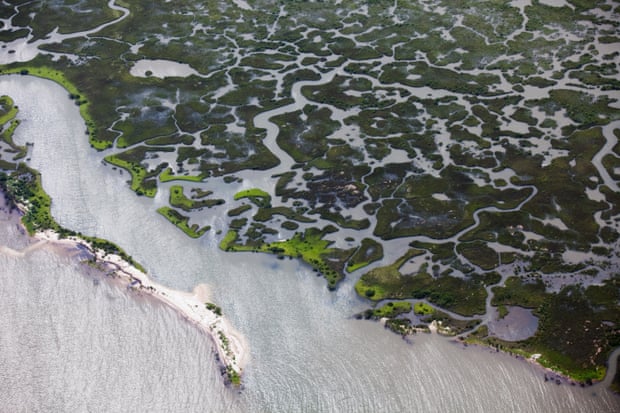 Aerial view of Louisiana’s marshlands threatened by the BP oil leak in the Gulf of Mexico. Migratory birds pass through the wetlands and much of America’s seafood comes from the region. 