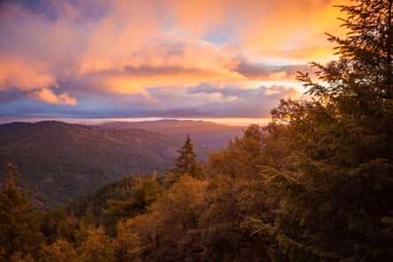 Trees and mountains sit below an orange and purple sky at sunset