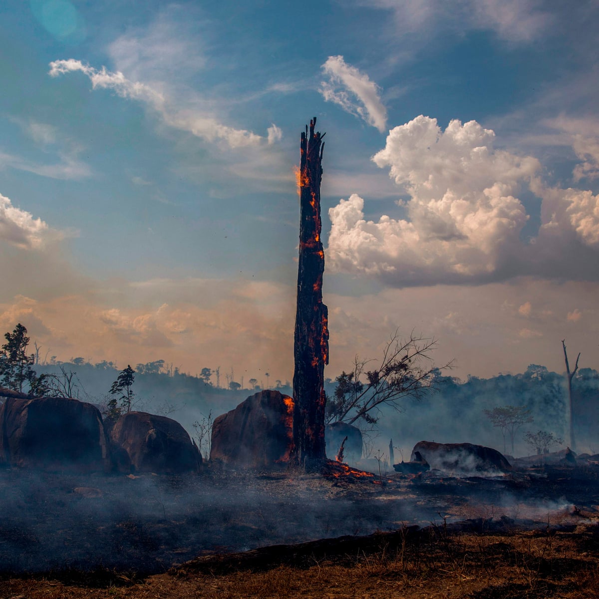 Amazon Rainforest Close To Irreversible Tipping Point Amazon Rainforest The Guardian Amazon Rainforest Close To Irreversible Tipping Point Amazon Rainforest The Guardian