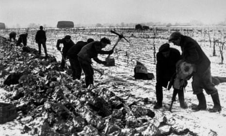 Will we ever see another winter as bitter as this? Farm workers use a pneumatic drill to get parsnips out of frozen earth in February 1947.