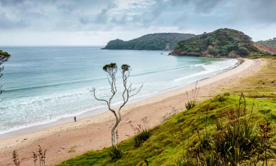 Pātaua beach, looking south, on New Zealand’s North Island