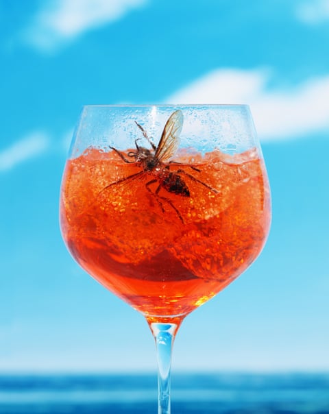 A wasp in a glass of red liquid and ice, against blue sky and sea