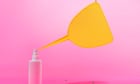 Mosquitoes love me, so I've tried all the solutions. These are the best | Sali Hughes on beauty