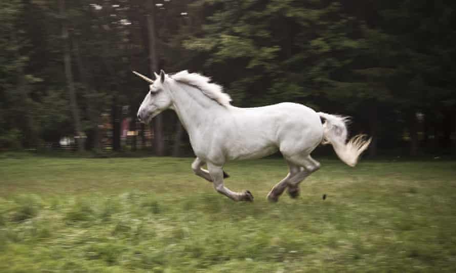 A galloping unicorn
