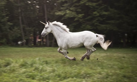 Peak unicorn is here. If you doubt me, just check out the condoms | Kathryn Hearn | The Guardian Peak unicorn is here. If you doubt me, just check out the condoms | Kathryn Hearn | The Guardian