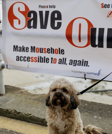 A small dog sitting on the pavement under a Save Our Busstop sign