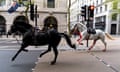 Two horses bolt through the streets of London near Aldwych.