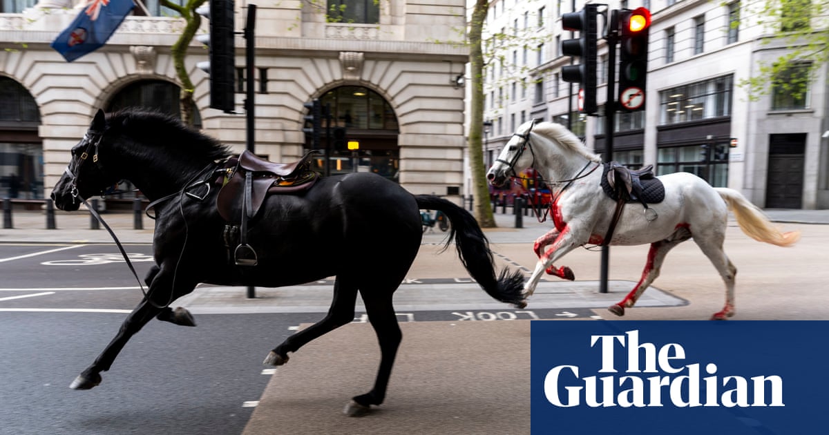 Four taken to hospital after military horses break loose in central London | London