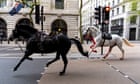 Two horses running loose in central London caught by police