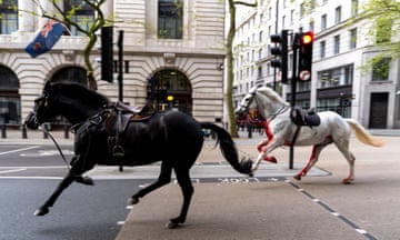 Two military horses bolt through the streets near Aldwych in London, UK, after escaping during morning exercise