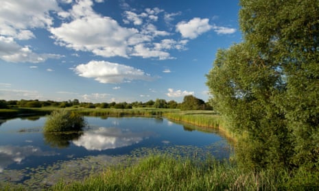 A game-changer': the 9,000 acre project reclaiming the Fens for nature, Conservation