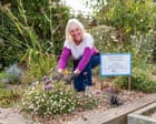 ‘It’s transformed the village’: the volunteers greening up Britain’s train stations