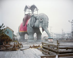 Lucy the Elephant (after Hurricane Sandy), Margate City, NJ, 2013There is one collection of photos, though, that stands out: the ones featuring animals, both real and fabricated ones. There’s the mon- umental, concrete, wide-eyed elephant stalled in a misty, empty lot,