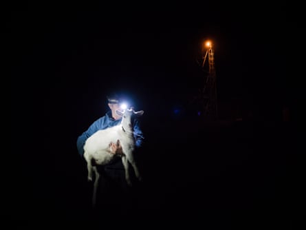 essay on chernobyl Every night Vadim keeps the animals safe