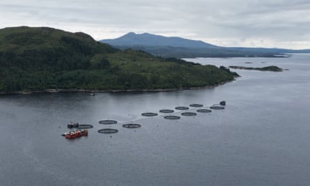 A boat on a Scottish loch next to 12 circular nets with a mountain in the background