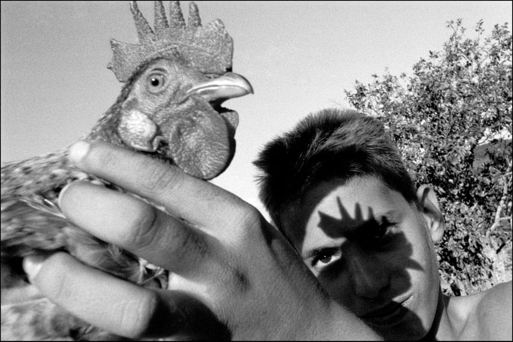 VINALES. Sein Projekt Tierra Guajira ist eine Hommage an die kubanischen Landwirte mit einem fast anthropologischen Ansatz, der es ihm ermöglicht, seine eigene Kindheit im Osten des Landes nachzuzeichnen | Bildquelle: The Guardian VINALES. Sein Projekt Tierra Guajira ist eine Hommage an die kubanischen Landwirte mit einem fast anthropologischen Ansatz, der es ihm ermöglicht, seine eigene Kindheit im Osten des Landes nachzuzeichnen | Bildquelle: The Guardian | Bilder sind in der Regel urheberrechtlich geschützt