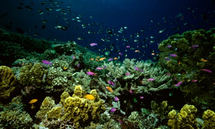 Australia’s Great Barrier Reef, Queensland.