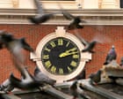 Boston mass transit authorities flap around for solution to pigeon menace