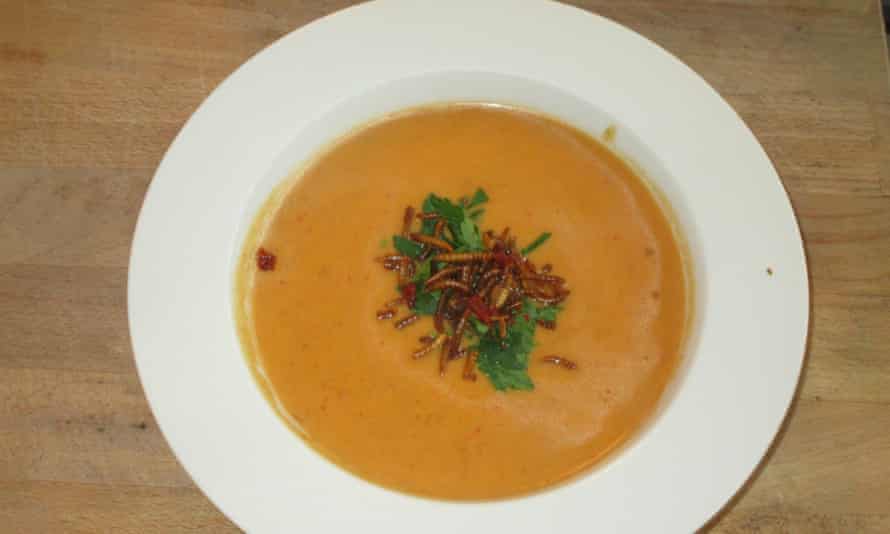 Sam's successful butternut and mealworm soup.