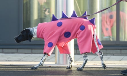 A braque d’Auvergne dog dressed as a pink dinosaur (perhaps) at Crufts dog show in Birmingham, March 2020.