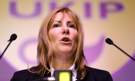 MEP Janice Atkinson: decried post-referendum grief emails as ‘snowflake nonsense’.