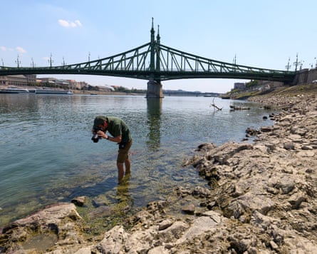 A geologist takes advantage of the low water leves in the Danube to view the myhtical ‘famine rock’.