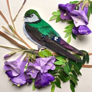 Jacaranda Swallow bird paper artwork by Sarah Suplina