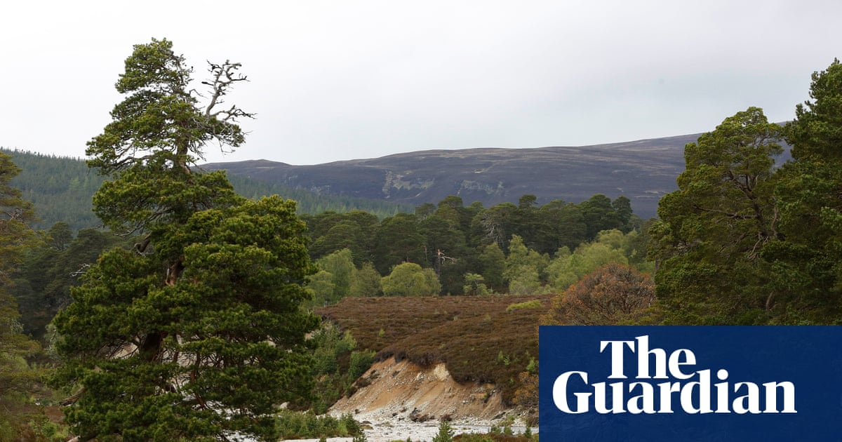 MSPs not told about collapse of funding deal for Scottish nature restoration