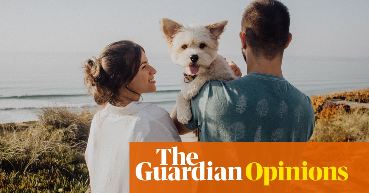 That's enough pro-pet propaganda! There are at least seven things that humans do better | Emma Beddington