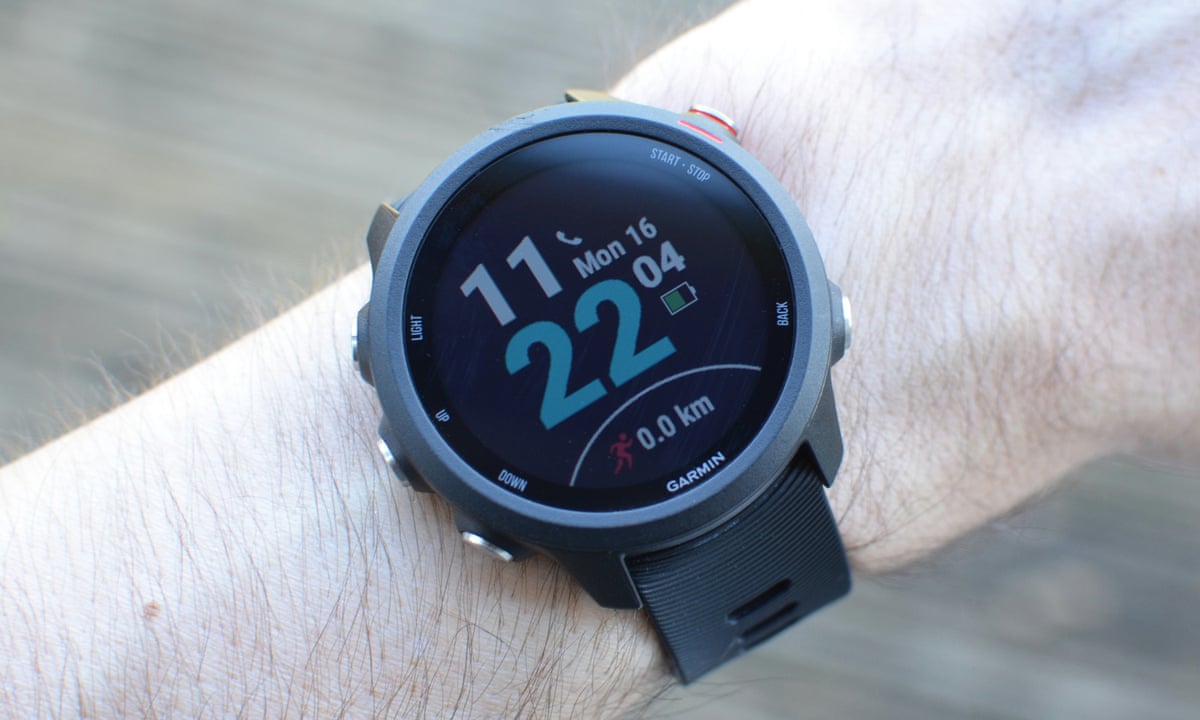 Garmin 250 music Clearance