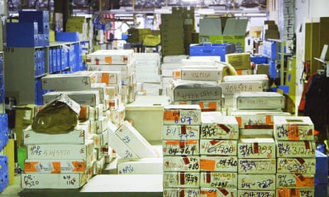 I Am Evidence: the shocking film on the truth about untested rape kits | Documentary films | The Guardian