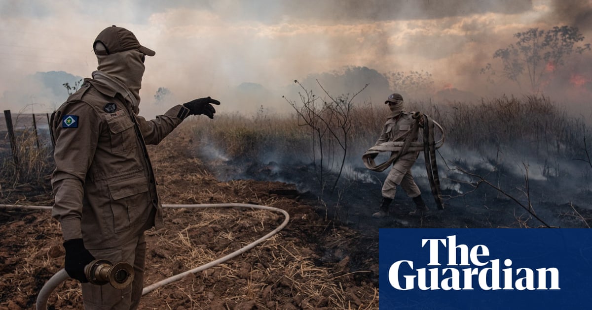 Amazon fires 'extraordinarily concerning', warns UN biodiversity chief