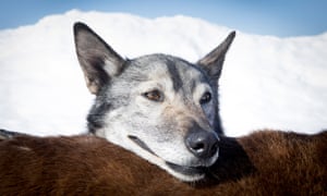 Výsledek obrázku pro the way past winter hargrave