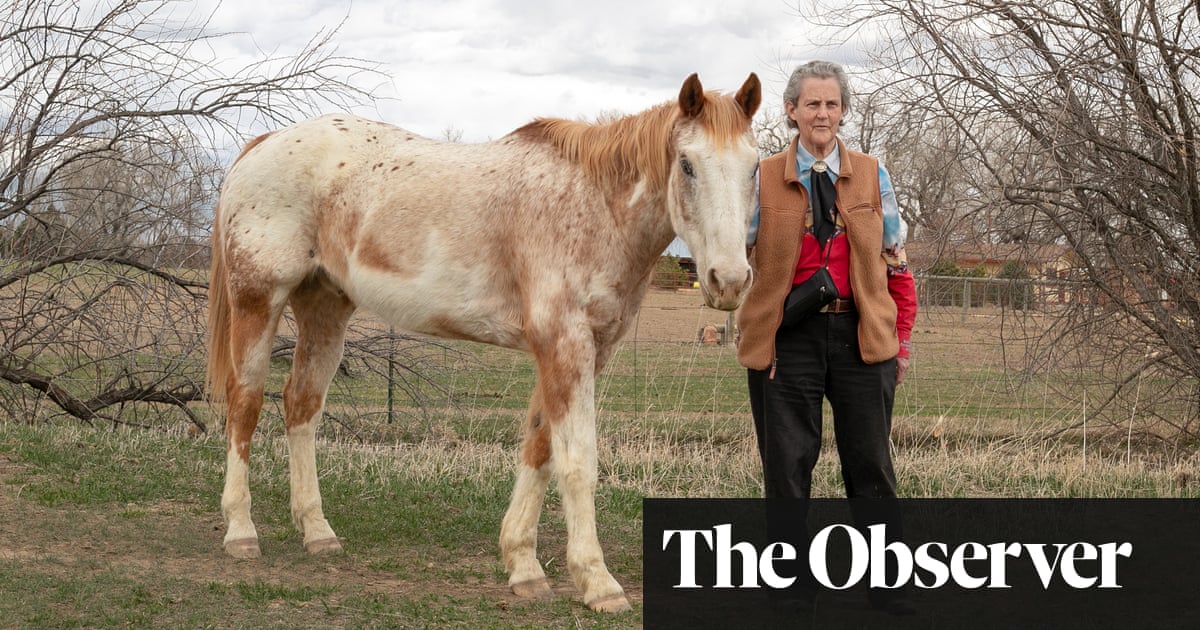 Autistic scholar Temple Grandin: ‘The education system is screening out visual t..