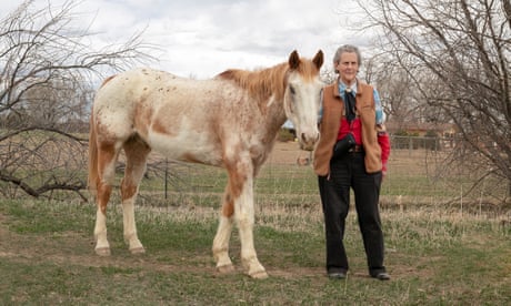 temple grandin with scatter, a 25-year-old appaloosa gelding, on the ranch of her longtime research partner, mark deesing, in fort collins, colorado, 2020