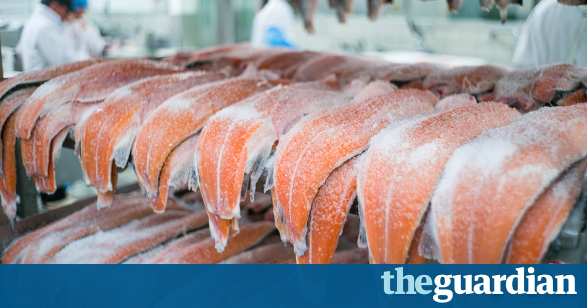 essay smoked salmon co uk Essay smoked salmon limited - free company check: financial information, company documents, company directors and board. essay smoked salmon co uk Essay smoked salmon limited - free company check: financial information, company documents, company directors and board.